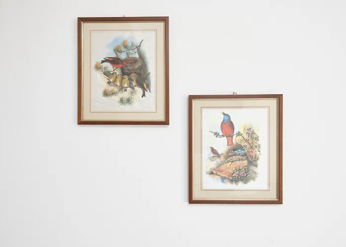 Cavour La Citta Vecchia ג'נובה